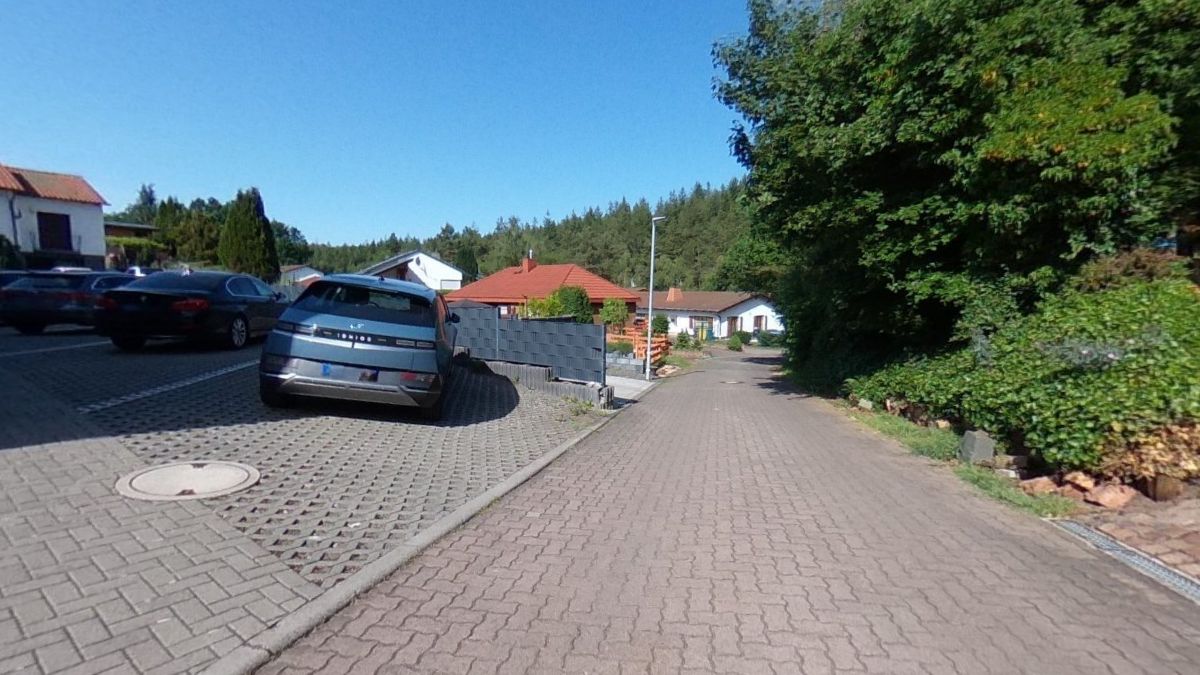 Vorschau des Muster-Außenpanoramas